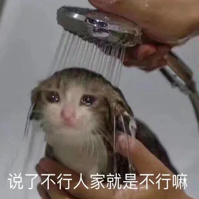 黑芝麻丸还要骗我们多久,黑芝麻丸子的功效与作用