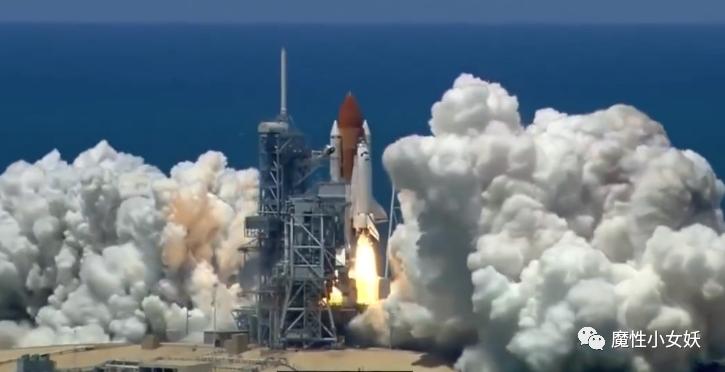 非常好吃的皮皮虾你们吃过吗,超大的皮皮虾带给大家认识一下