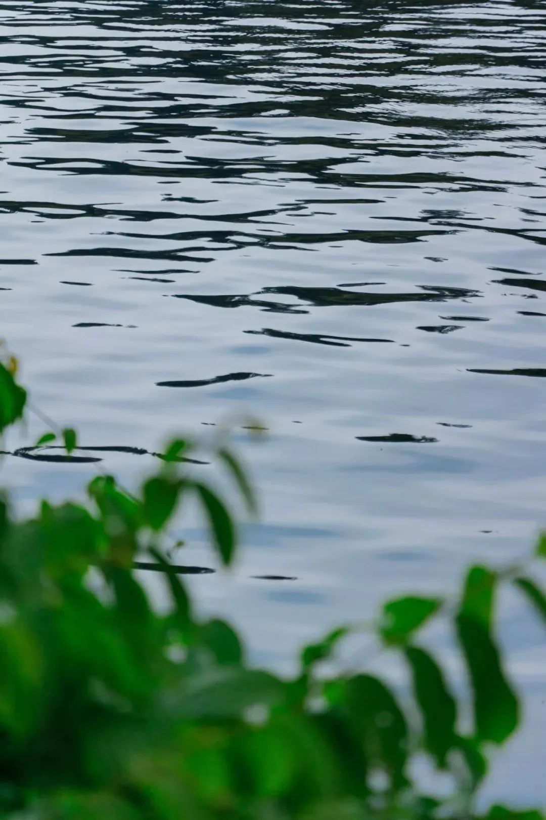深圳小众胜地有哪些好玩的,深圳的特色风景