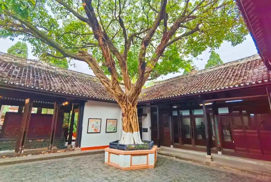 朝辞白帝彩云间中的白帝城指,早发白帝城和朝辞白帝彩云间