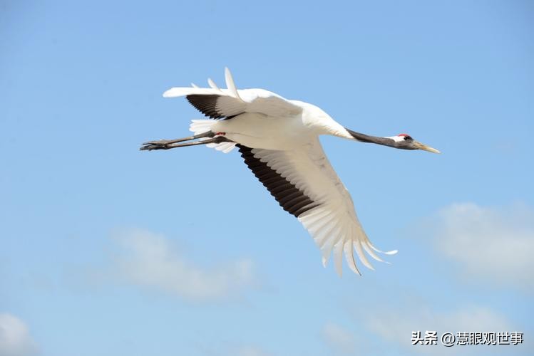 中高考必考古诗词,中高考必背古诗词朗诵
