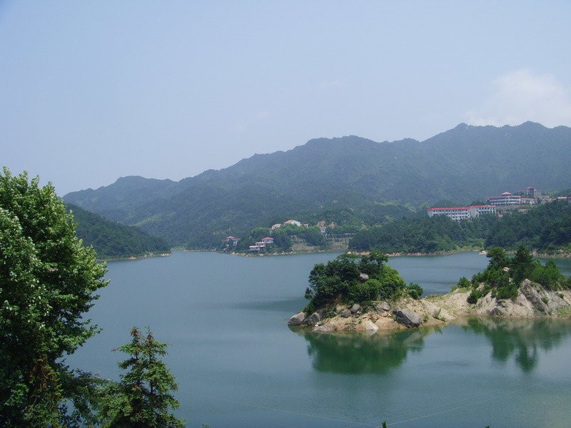 烈性犬不牵绳,未牵绳犬撕咬受伤狗主人