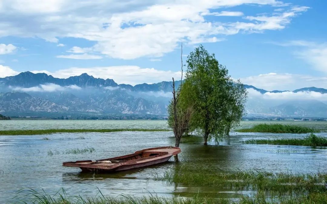 节约用水的名言名句大全,关于节约用水的名言名句有哪些