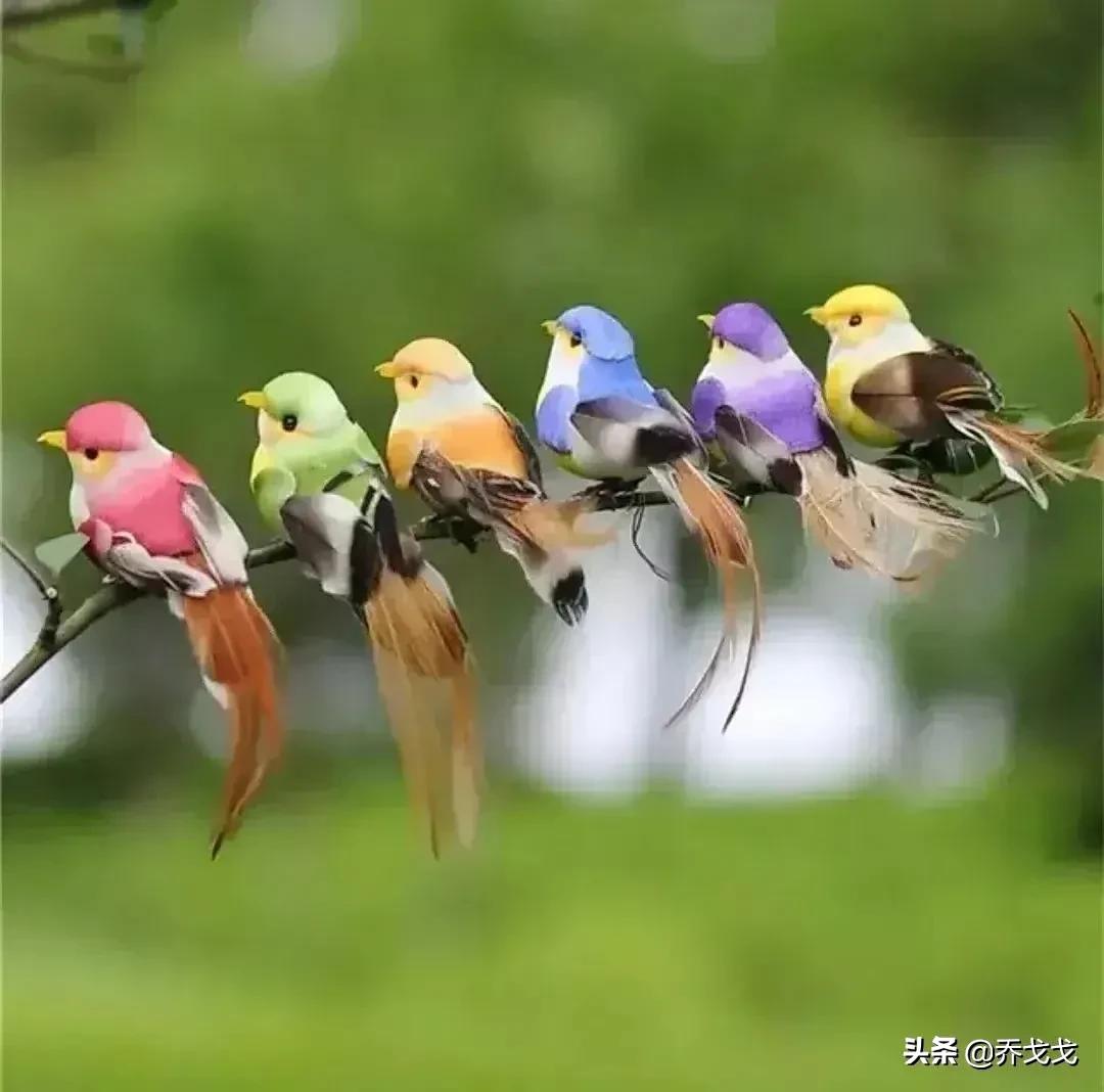 电话中听到孩子哭的文案,接到儿子电话说了几句绷不住哭了