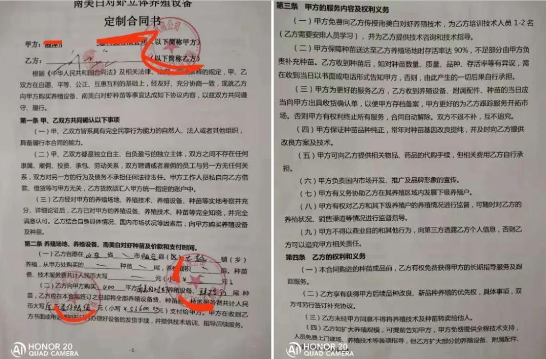 养殖集资诈骗8000万判刑案例,集资养殖诈骗案