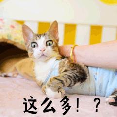 连云港九价hpv疫苗怎么预约,无锡九价hpv疫苗在哪里预约