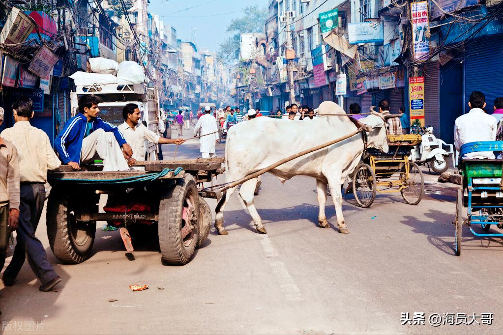 船到印度，船员两天两晚的遭遇让人懊恼，真实经历让人难以想象