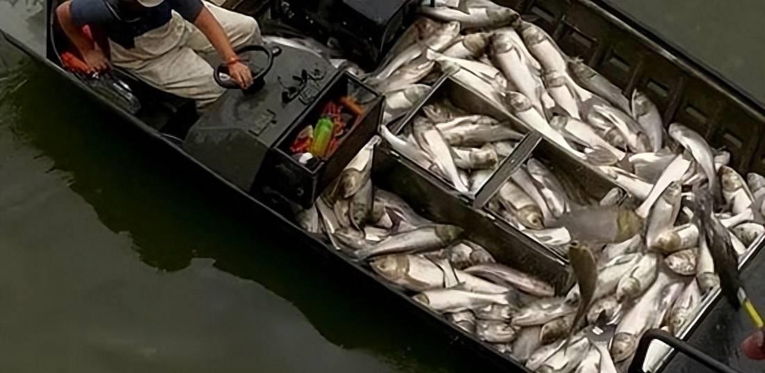 为什么电鱼危害大,电鱼违法为什么还有电鱼设备