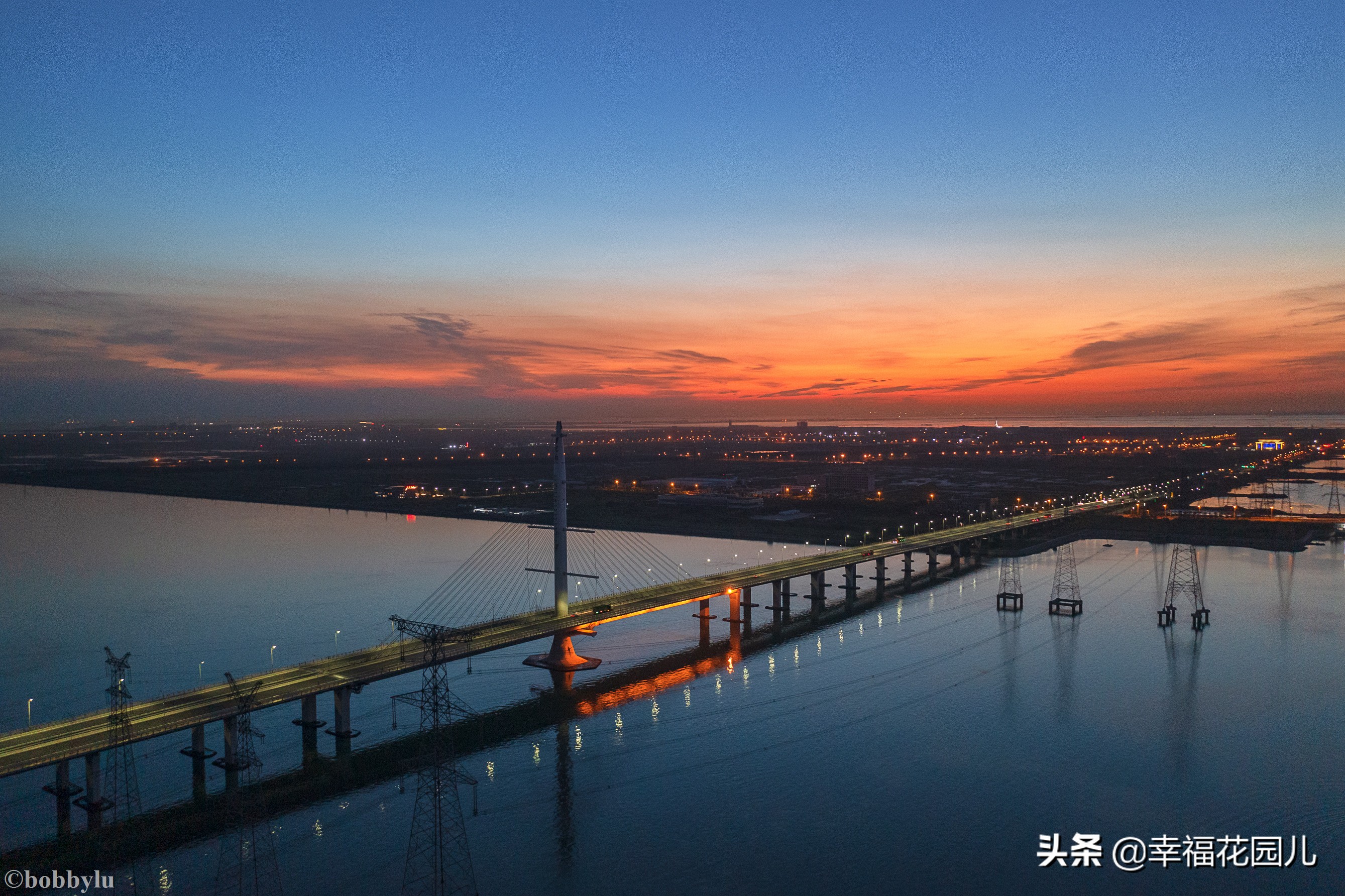 美味河豚有多金贵？养殖就有多娇贵！十里海河豚小镇探秘美食之源