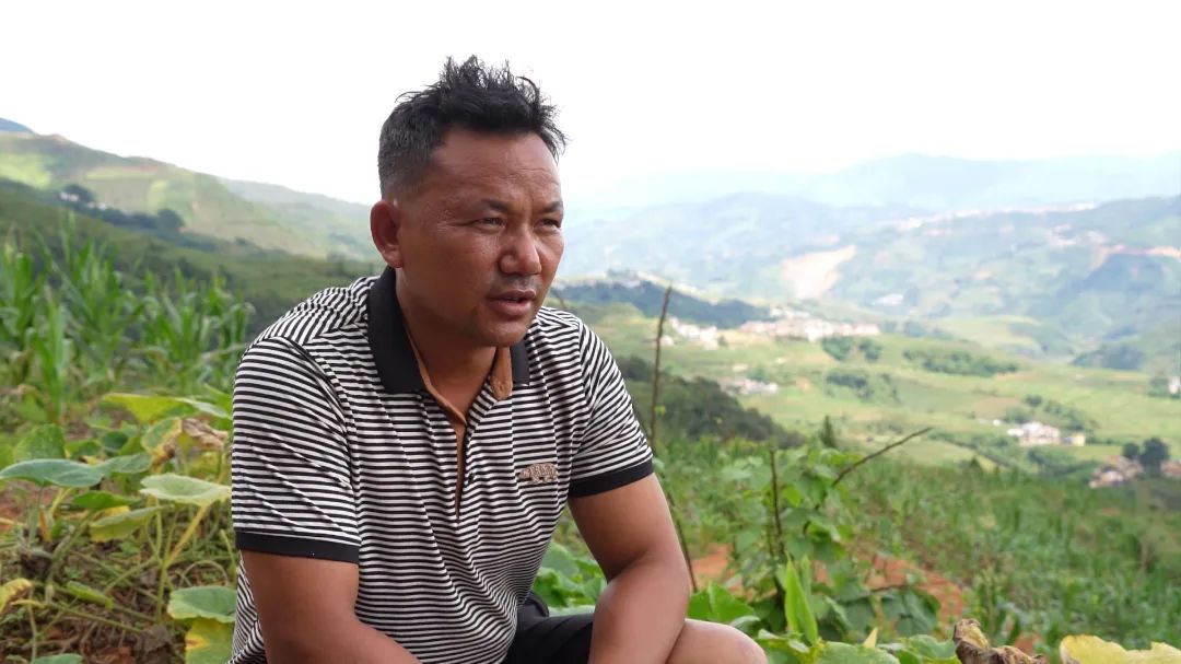 「强国复兴有我」看绿春最强创业搭档，将“小魔芋”变身“金疙瘩”