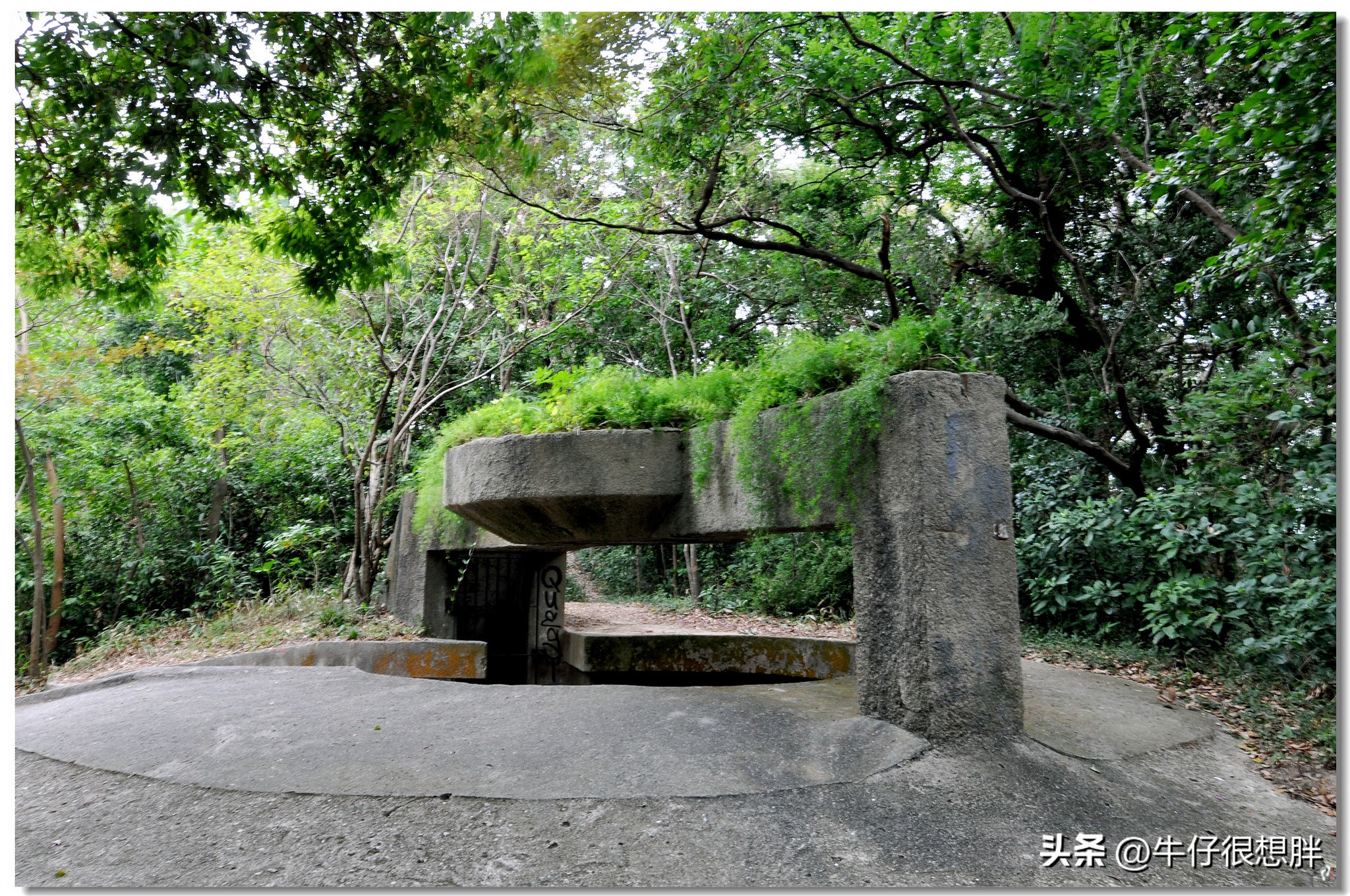 冬天澳门亲子遛娃,去澳门带着小孩逛哪里好玩