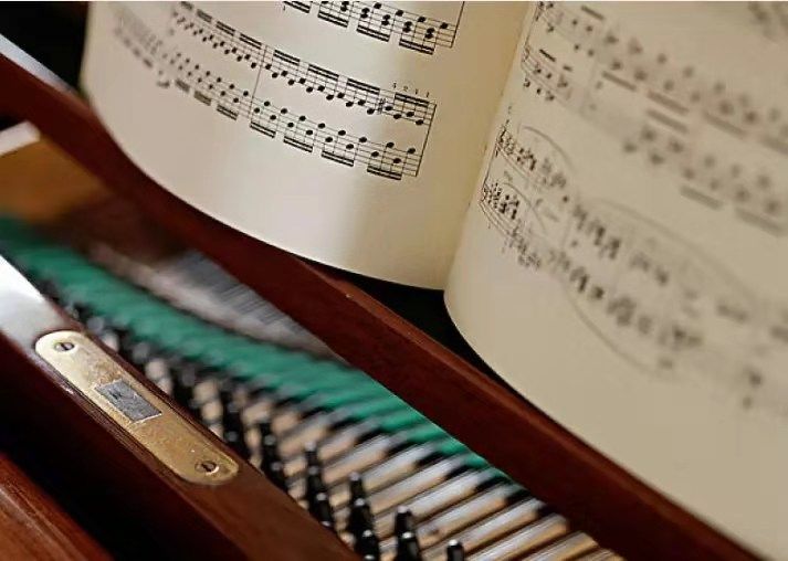 学钢琴初期需要注意什么,学钢琴最重要的是什么