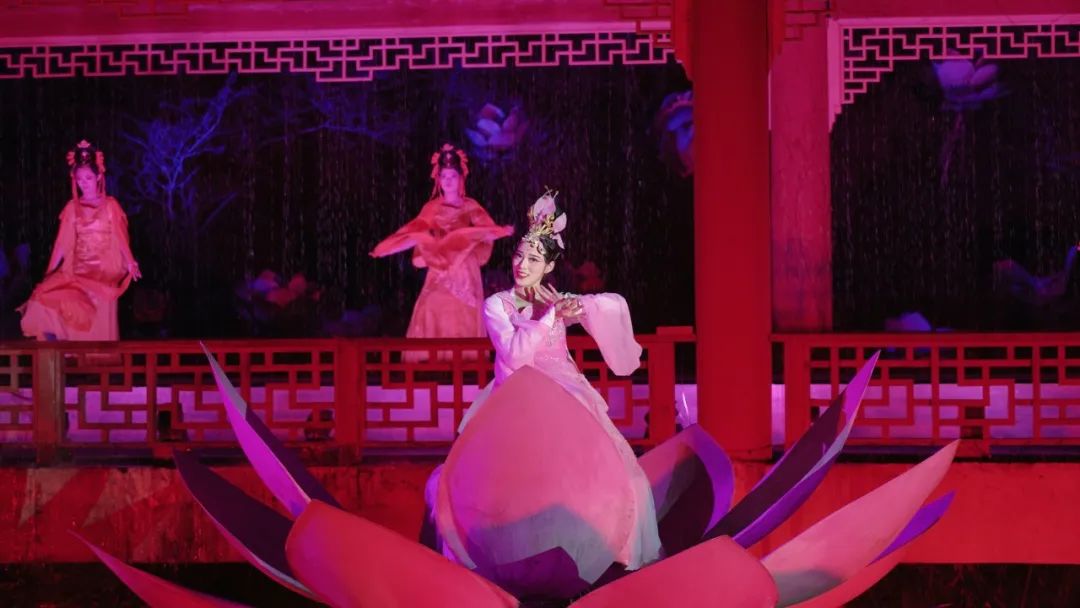 小暑已至！夏日顶流登场，一池荷风，满院莲香，惊艳了整个夏天！