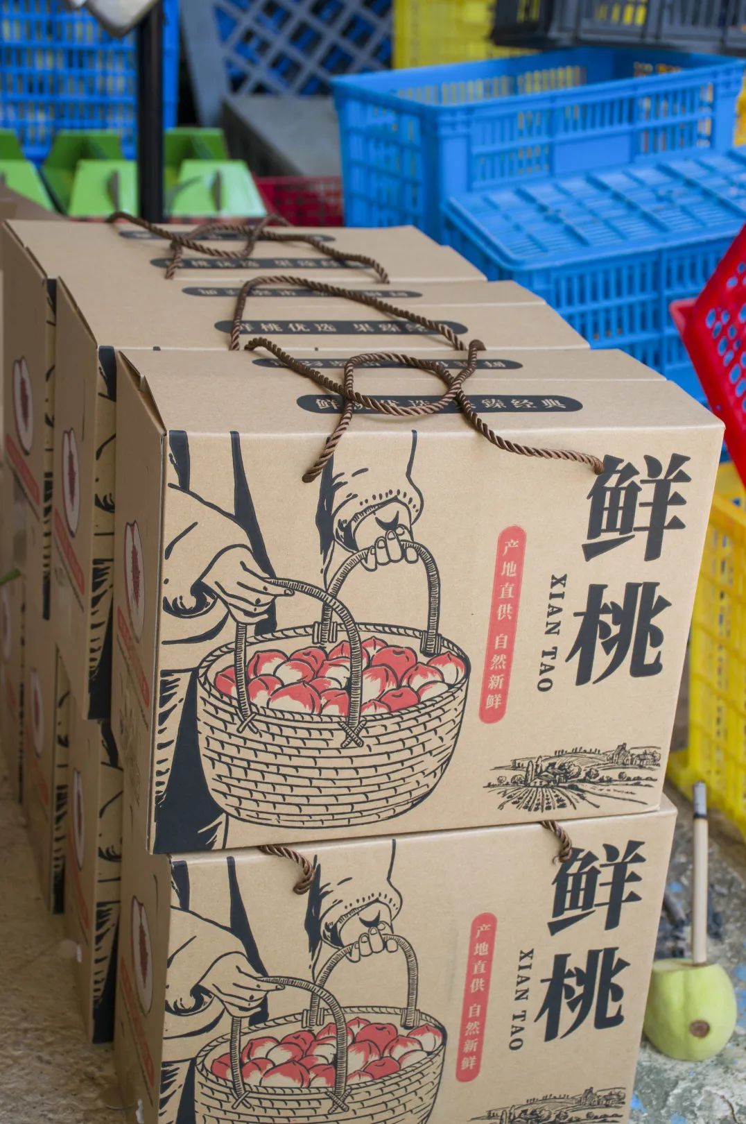 鹰嘴桃脆香甜,赣南鹰嘴桃新鲜现摘