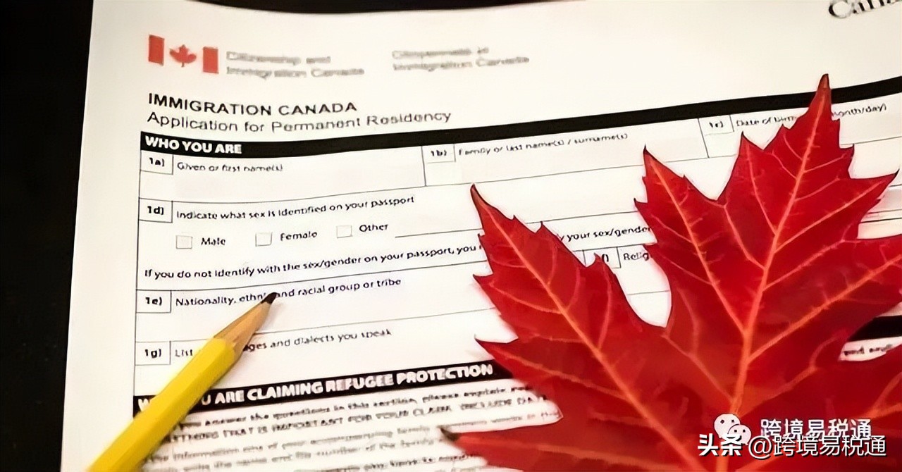 加拿大税务深度解析,加拿大税务申报