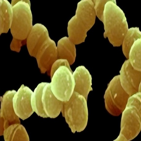 哪些是抑菌制剂,新型抗菌制剂