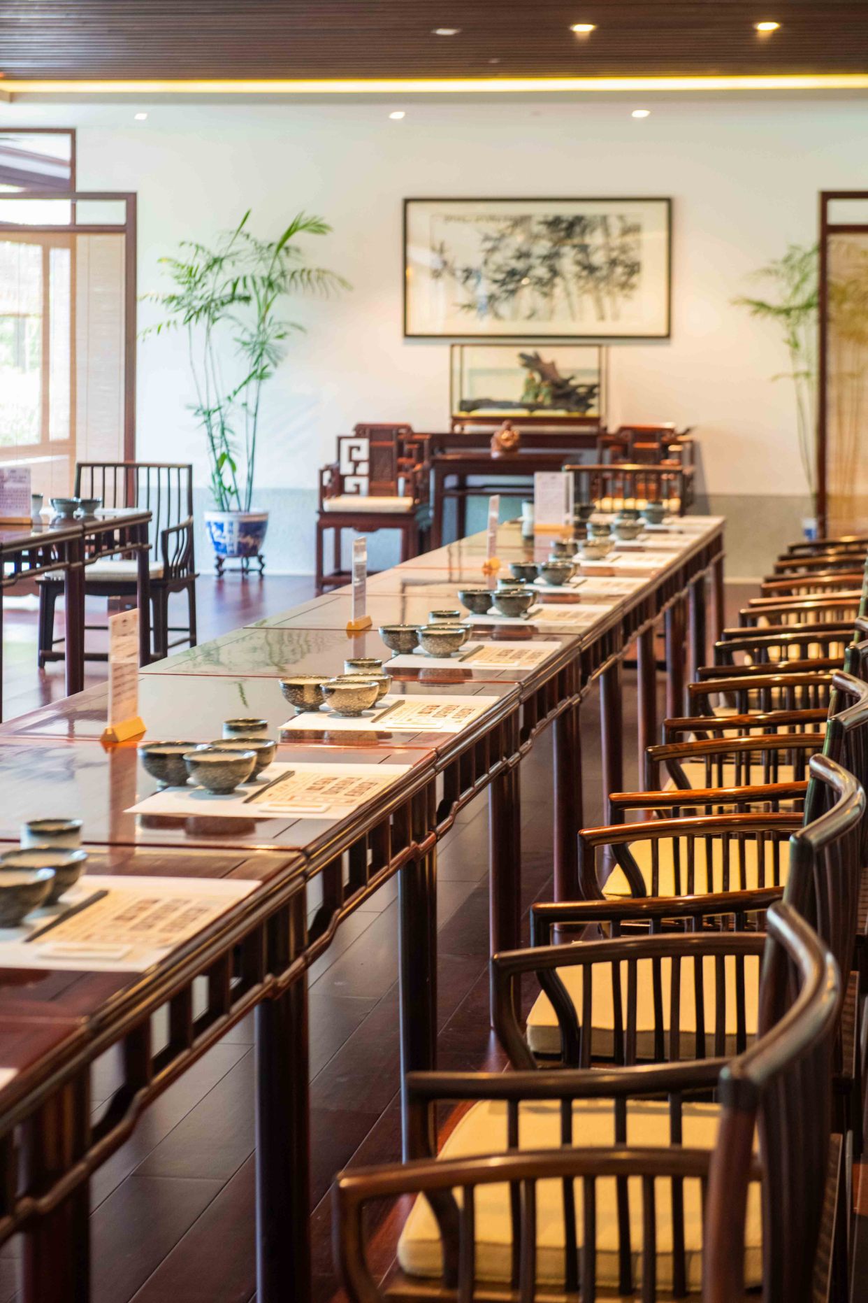 国内适合禅修的酒店,广东禅修疗愈民宿酒店