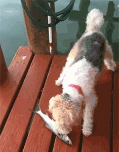 沙雕撩人幽默冷笑话,冷笑话沙雕搞笑句子大全