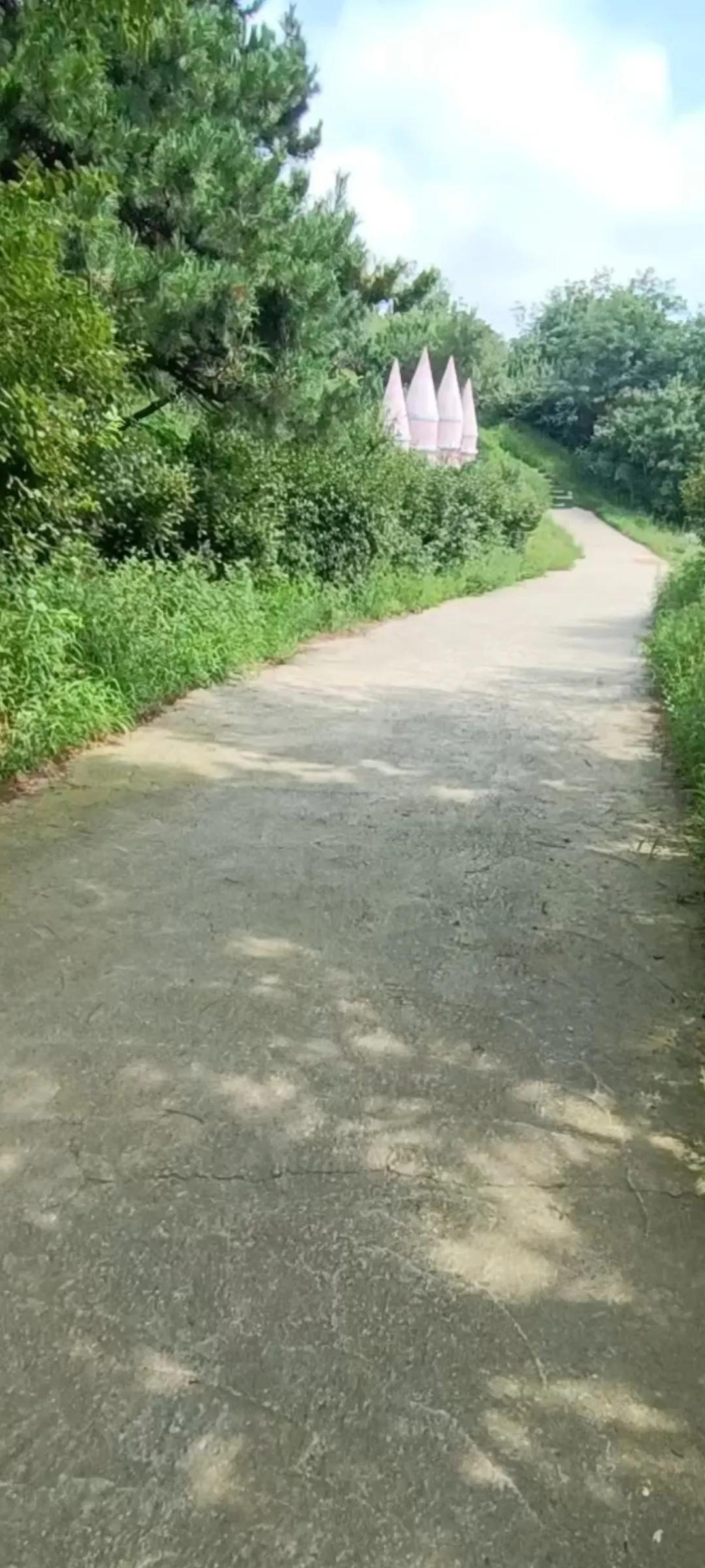 梦幻城堡礼物多少钱,梦幻城堡别墅