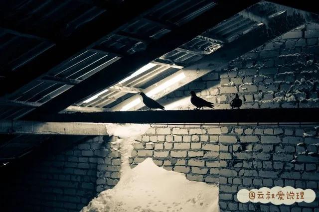 住楼房也有烦恼,住新房子开心吗