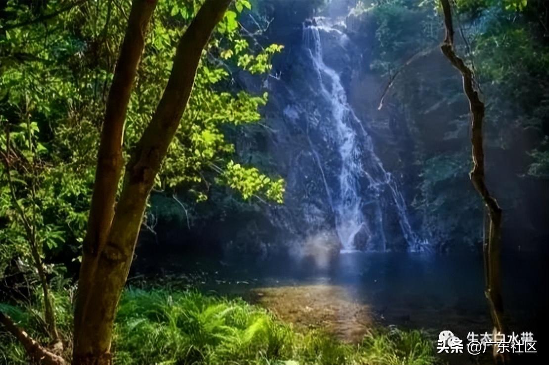 春季国内观鸟热门地,这份观鸟地图请收好