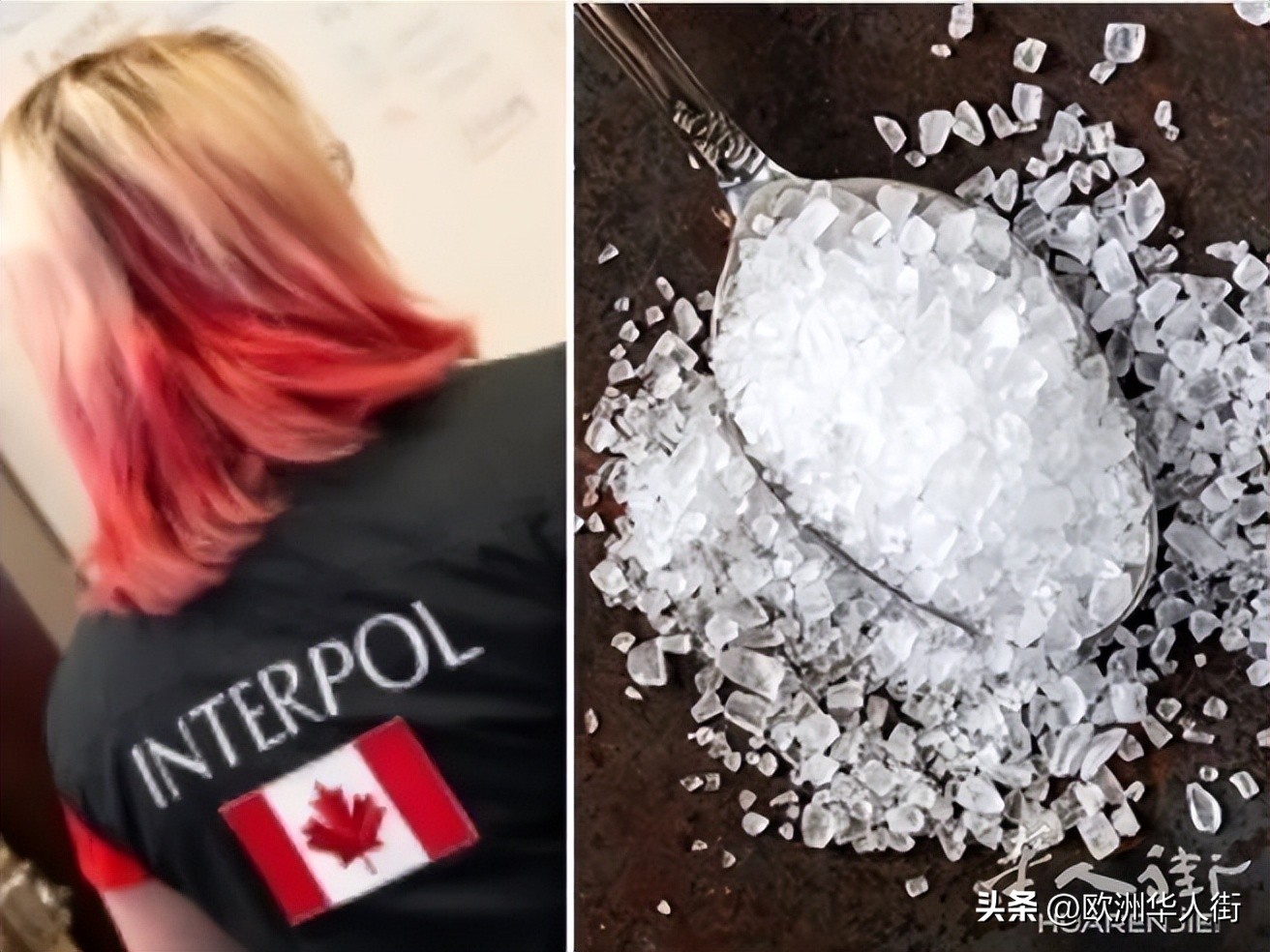 意大利紧急搜查网购的自杀工具包，9人已购买，其中一名教师死亡