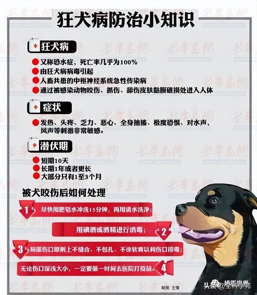 烧伤烫伤防护与急救知识英文,烧伤冻伤如何处理