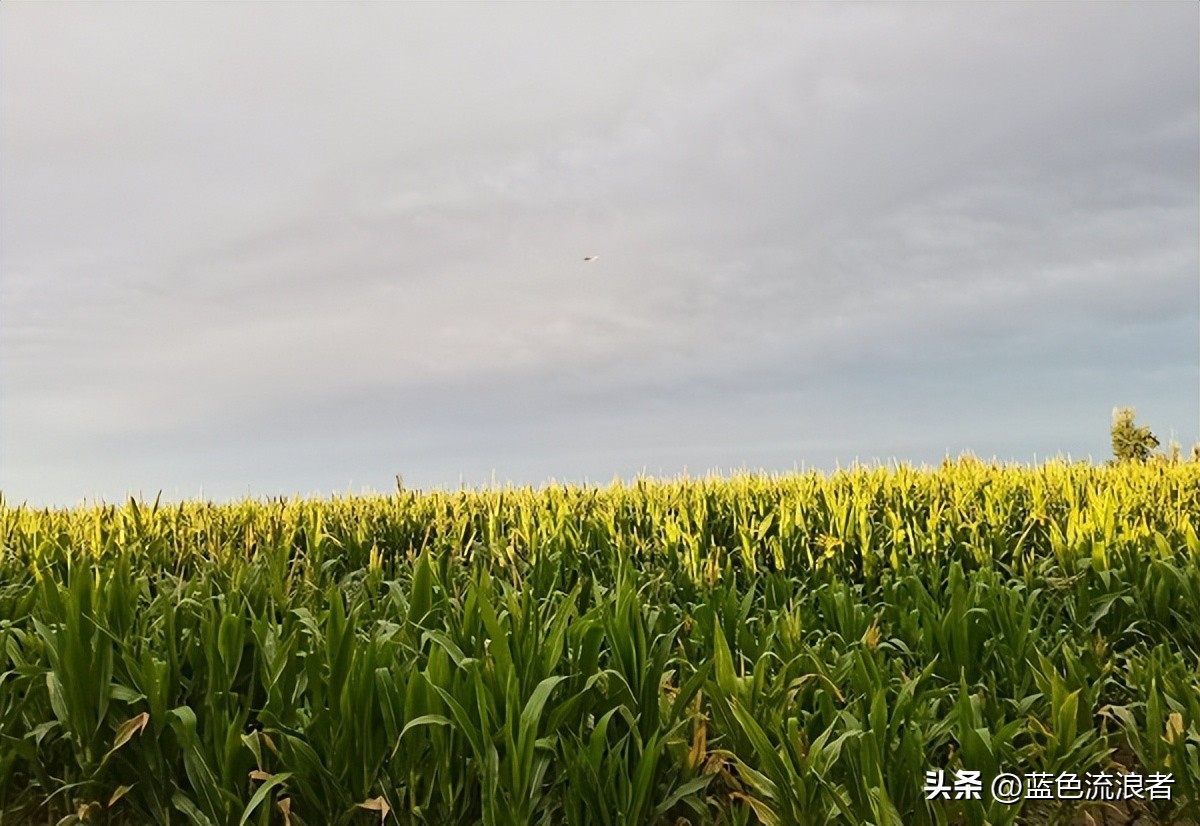 甘肃陇南西和县城景色,甘肃的一处美景