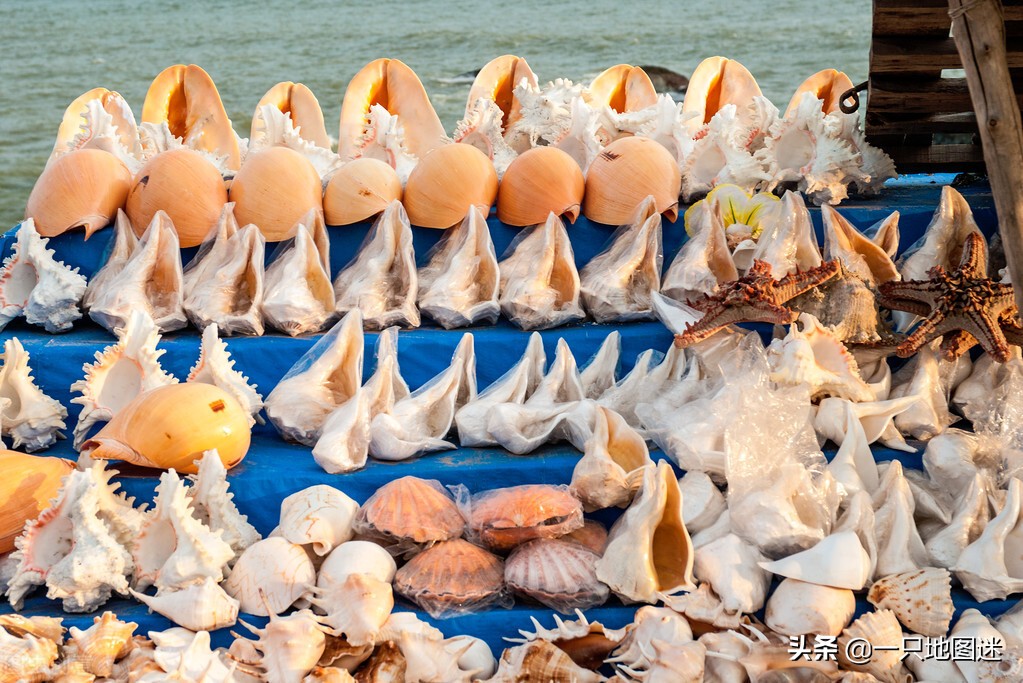 全世界最拥挤的小岛,亚洲最拥挤的城市排名