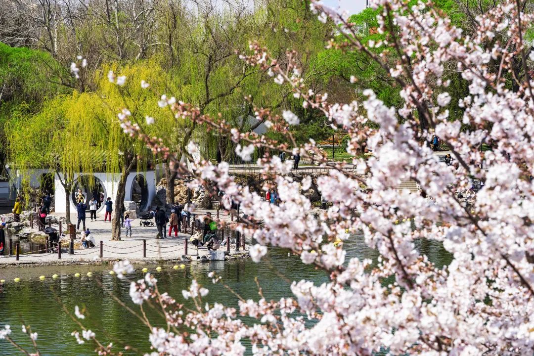 西城印象西平县,西城印象二期