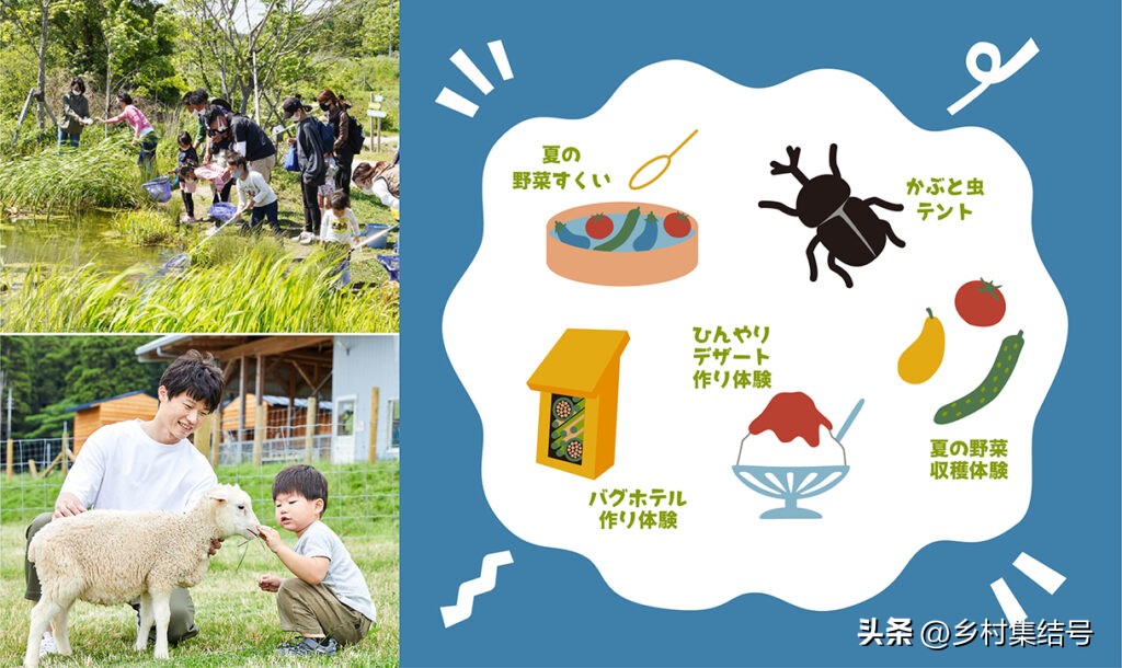 日本农业大县探寻乡村振兴新路,日本家庭农场农业模式