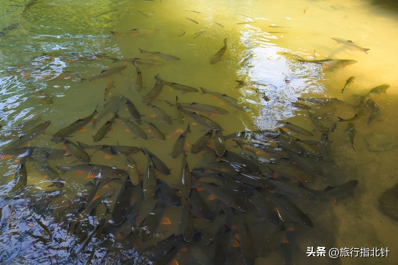 福建旅游攻略武夷山,福建武夷山旅游攻略一日游