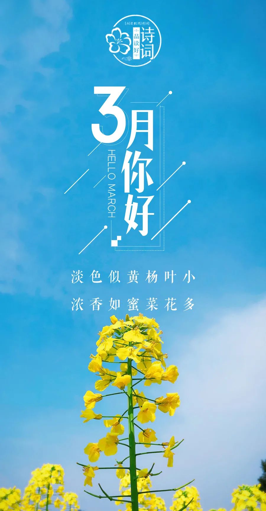 描写三月春天的诗句和优美句子,关于描写三月春暖花开的诗句