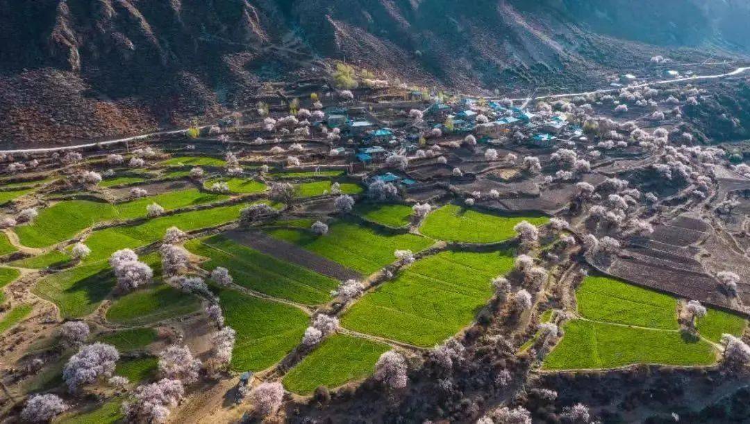 雪山下的梦幻球场爆红网络！*藏西**的这个小城，值得被所有人看到