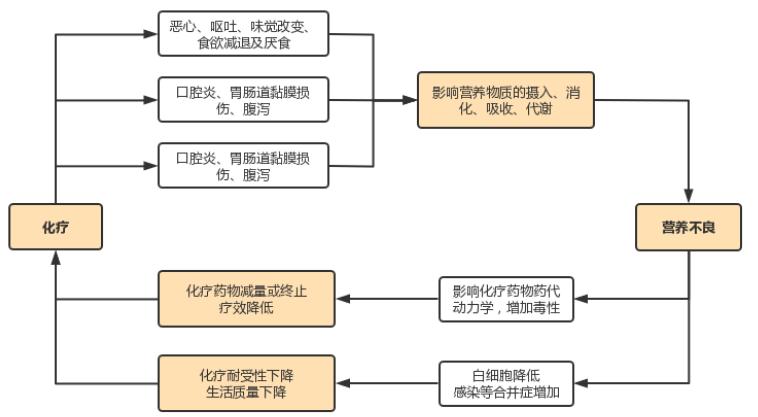 肿瘤患者不同治疗阶段的营养疗法，干货分享！值得收藏！