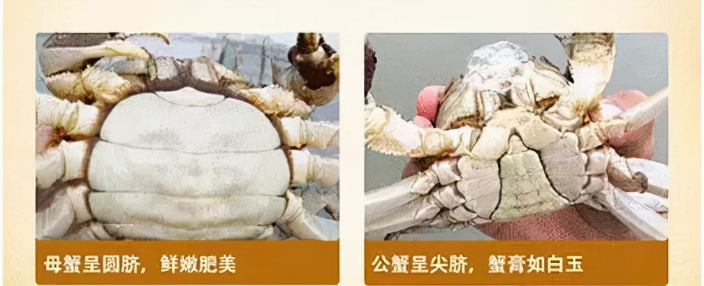 买海鲜应该怎么去买,如何挑选海鲜才是正确的