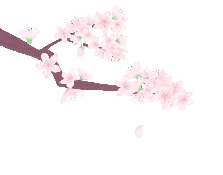 门肌训练,盆底肌医学讲解