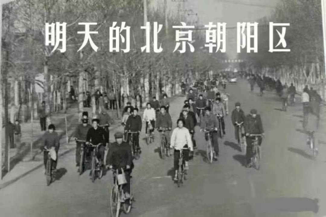 国内自行车的发展趋势,自行车在国内的发展历程