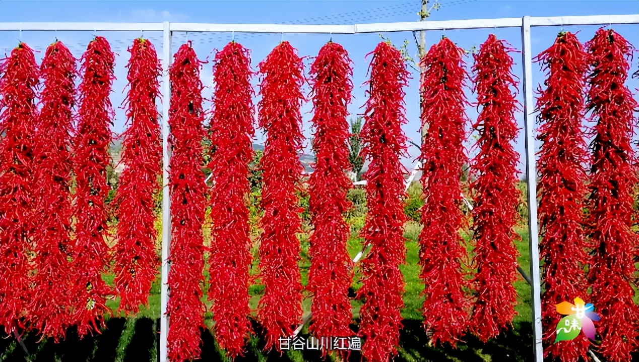 甘肃陇南伴手礼定制,甘肃有什么伴手礼