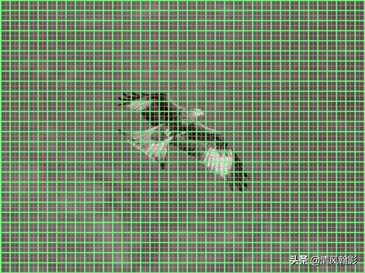 拍鸟买r5还是r6好,拍鸟买尼康