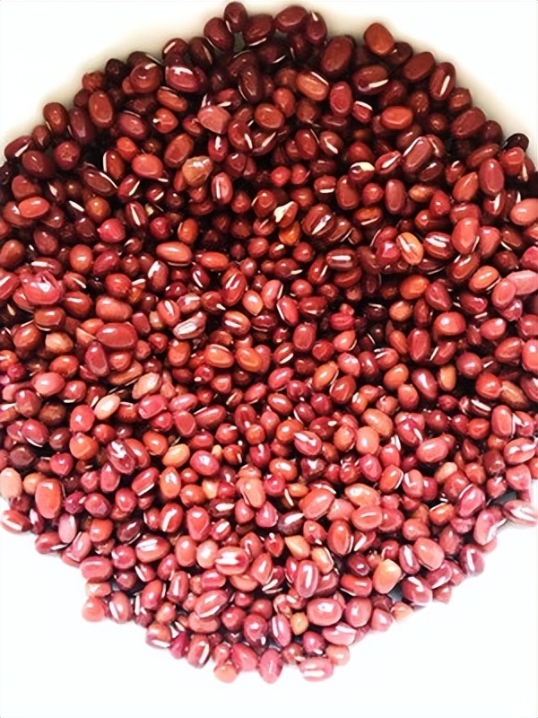 止咳化痰草图片及功效,止咳化痰最快最好的草