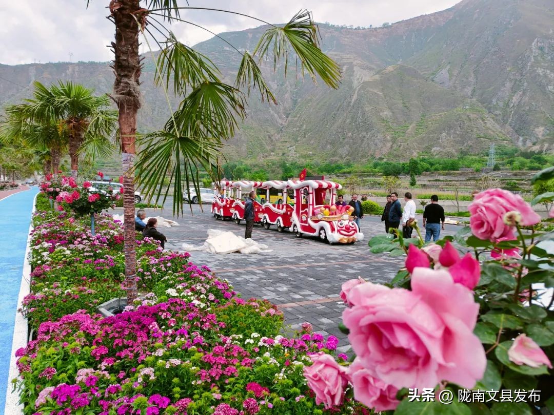 五一想去玩哪也没去,文县旅游一日游