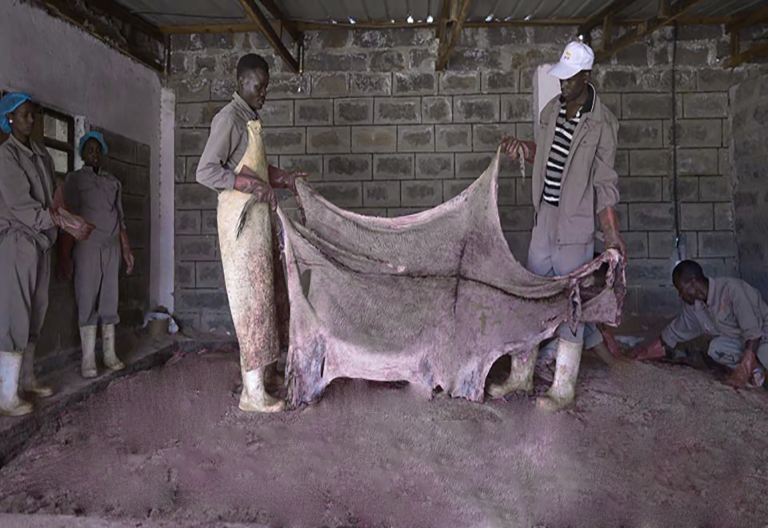 <html>
<head><title>502BadGateway</title></head>
<body>
<center><h1>502BadGateway</h1></center>
<hr><center>nginx</center>
</body>
</html>
<!--apaddingtodisableMSIEandChromefriendlyerrorpage-->
<!--apaddingtodisableMSIEandChromefriendlyerrorpage-->
<!--apaddingtodisableMSIEandChromefriendlyerrorpage-->
<!--apaddingtodisableMSIEandChromefriendlyerrorpage-->
<!--apaddingtodisableMSIEandChromefriendlyerrorpage-->
<!--apaddingtodisableMSIEandChromefriendlyerrorpage-->
