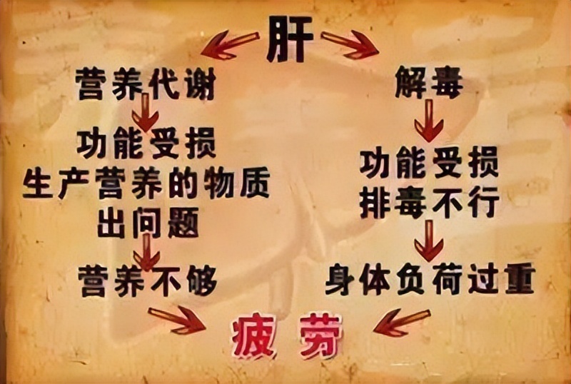 气血不足百病生三招补足气血,气血不足百病生教学