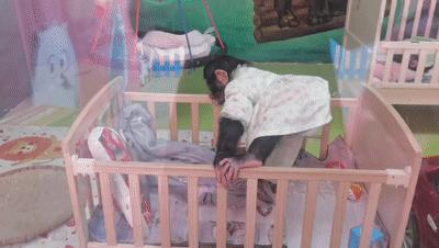 一天玩遍北京野生动物园,包场去鸟巢