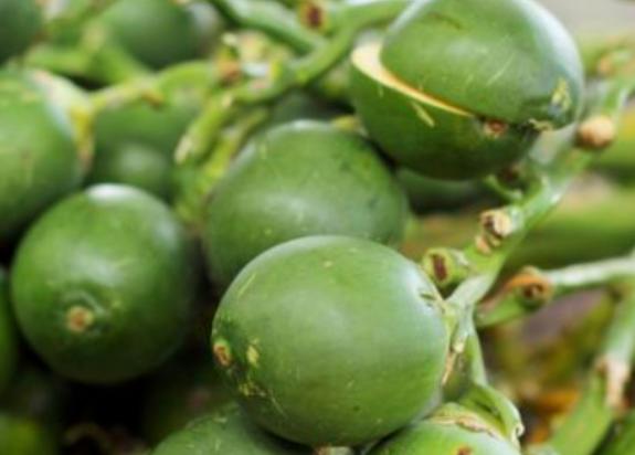 36岁知名歌手纵欲成瘾，去世前直播告诫粉丝：舒服过了头，会要命