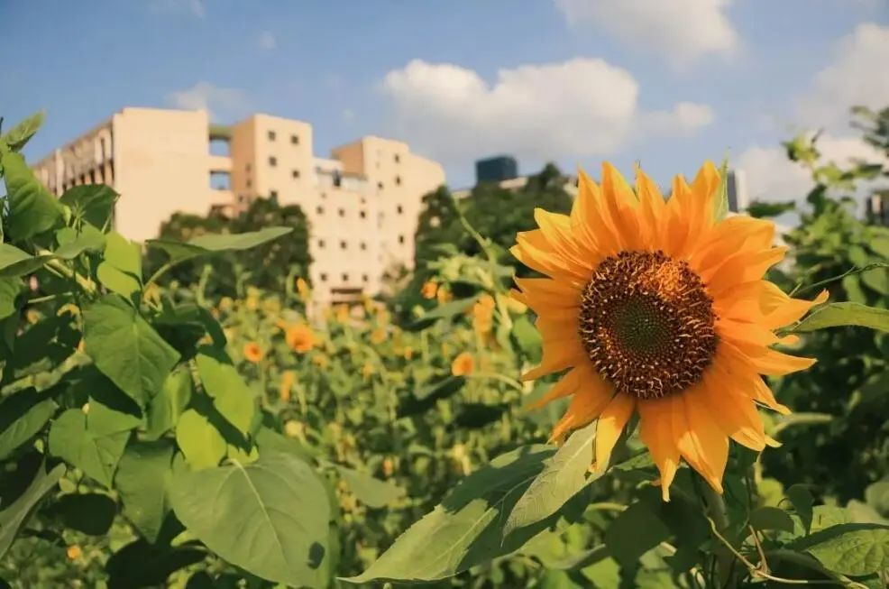 广西科技大学控制工程专硕，好考吗？快来看2023招生录取情况吧