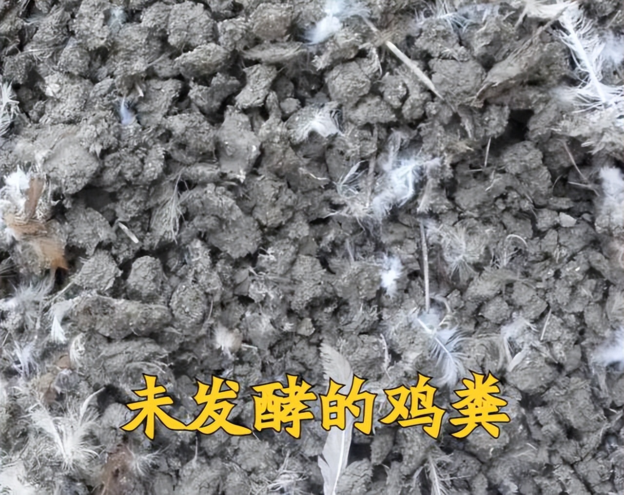 粪是不是氮肥,粪和肥料有什么区别