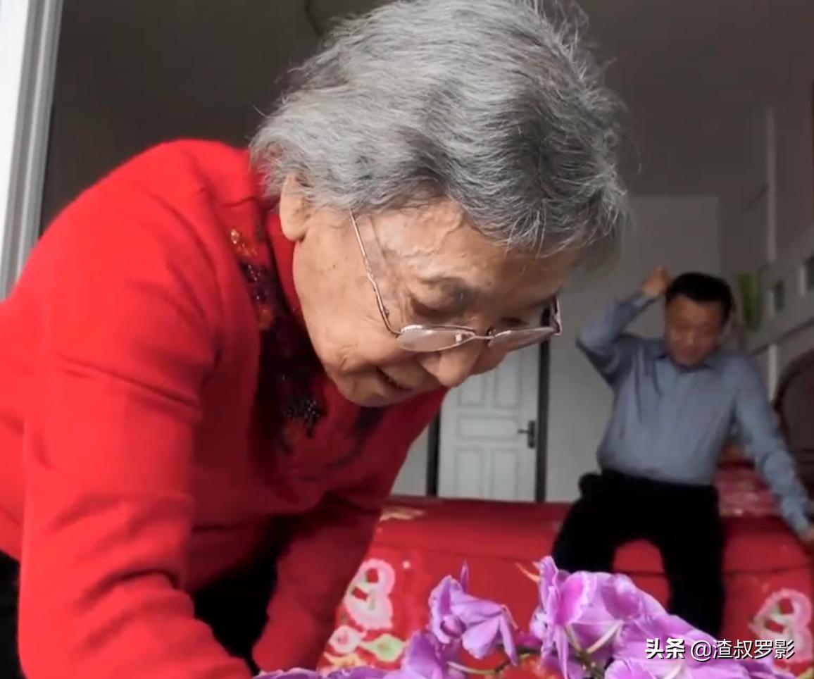 男子50元买海鲜发现是海洋活化石,一男子花10万买海参后续