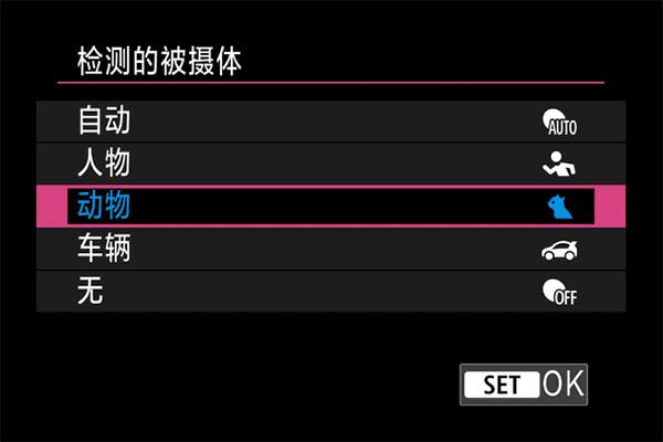 佳能eosr50详细介绍,沉浸式体验佳能r6二代